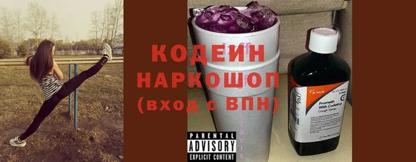индика Аркадак