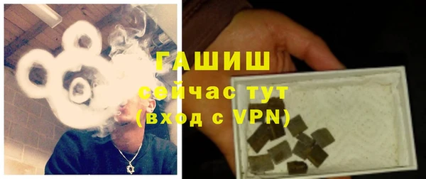 индика Аркадак