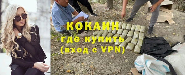 индика Аркадак