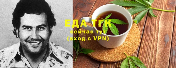 индика Аркадак