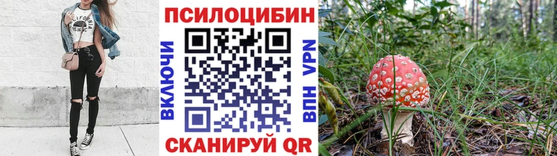 Псилоцибиновые грибы мицелий  blacksprut вход  Солнечногорск 